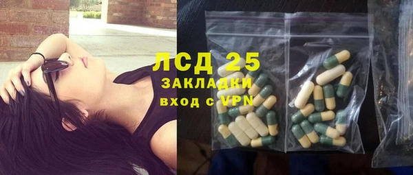 стаф Арсеньев