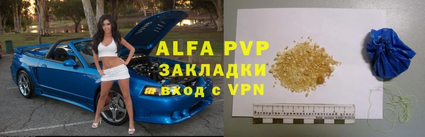 стаф Арсеньев
