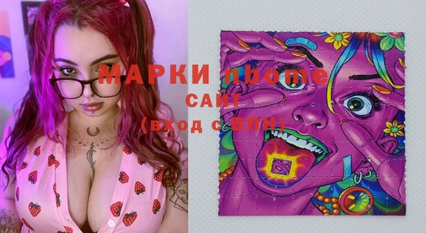 стаф Арсеньев