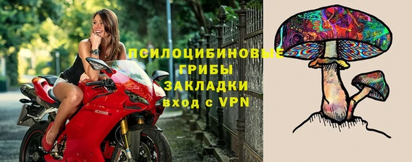 стаф Арсеньев