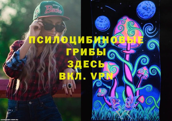 мет Аркадак