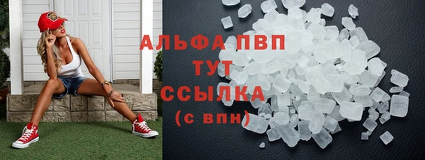 стаф Арсеньев